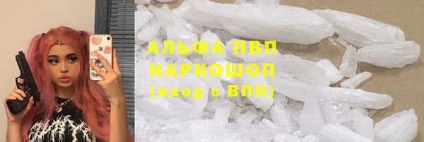 Альфа ПВП Сясьстрой